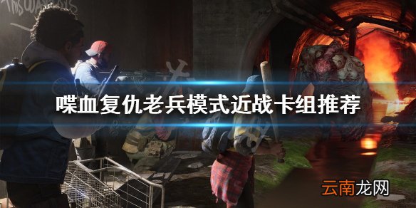 喋血复仇老兵模式怎么玩 喋血复仇老兵模式近战卡组推荐