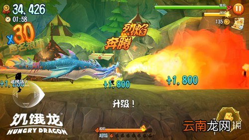饥饿龙宠物有哪些 饥饿龙宠物介绍