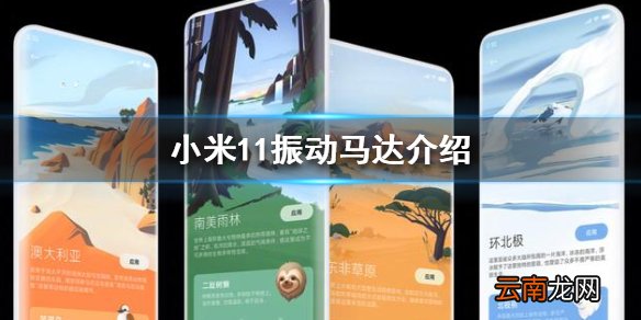 小米11振动马达怎么样 小米11振动马达介绍