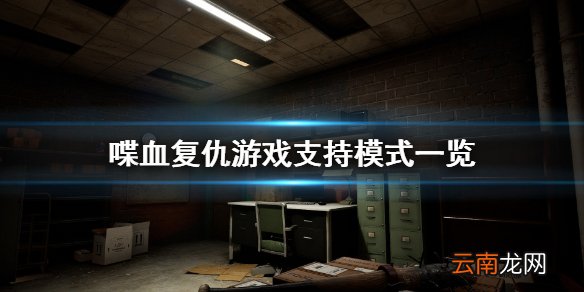 喋血复仇能本地双人吗 喋血复仇游戏支持模式一览