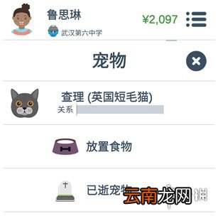 第二人生怎么获得宠物 宠物系统玩法介绍