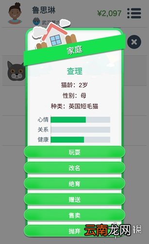 第二人生怎么获得宠物 宠物系统玩法介绍