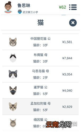 第二人生怎么获得宠物 宠物系统玩法介绍