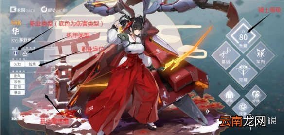 终末阵线伊诺贝塔角色养成攻略 终末阵线骑士怎么培养