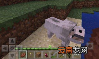 我的世界驴怎么驯服 大家可以了解一下