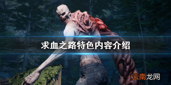 喋血复仇好玩吗 求血之路特色内容介绍