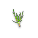 我的侠客葱在哪获得 我的侠客葱获取位置