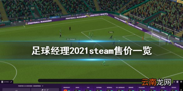 足球经理2021多少钱 足球经理2021steam售价一览