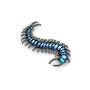 我的侠客大圣蜈蚣怎么获得 我的侠客大圣蜈蚣获取位置