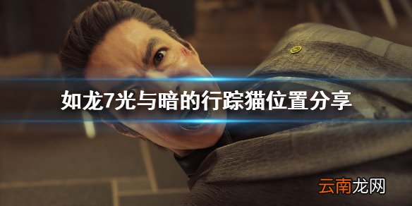 如龙7光与暗的行踪猫在哪 如龙7光与暗的行踪猫位置分享_网