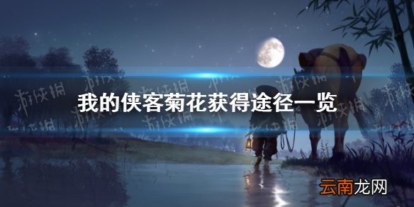 我的侠客菊花在哪里获得 我的侠客菊花获得途径一览