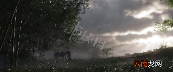 对马岛之魂挨打流武士怎么玩 对马岛之魂挨打流武士搭配