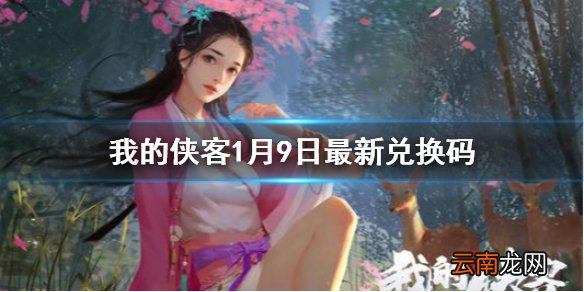 我的侠客1月9日最新兑换码 我的侠客1月9日兑换码一览
