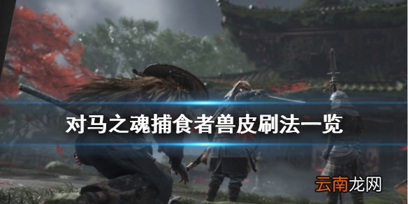 对马岛之魂捕食者兽皮怎么刷 对马之魂捕食者兽皮刷法一览