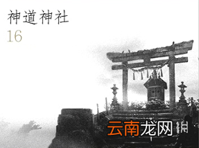 对马岛之魂全道具效果汇总 对马之鬼道具全收集攻略 竹子-木材