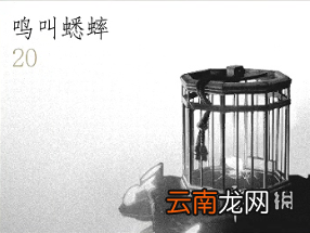 对马岛之魂全道具效果汇总 对马之鬼道具全收集攻略 竹子-木材