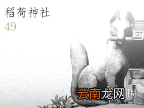 对马岛之魂全道具效果汇总 对马之鬼道具全收集攻略 竹子-木材