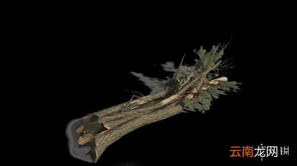 对马岛之魂全道具效果汇总 对马之鬼道具全收集攻略 竹子-木材