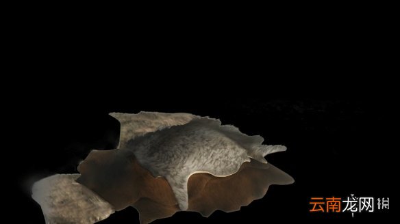 对马岛之魂全道具效果汇总 对马之鬼道具全收集攻略 竹子-木材