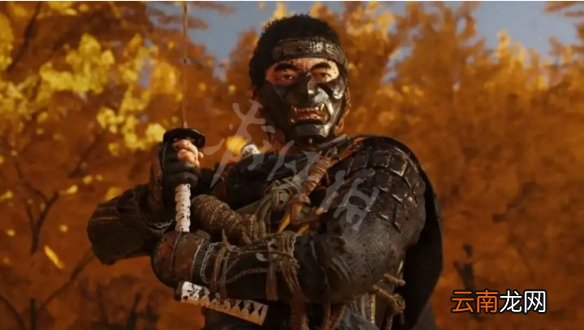 对马岛之魂好玩吗 对马岛之魂游戏内容玩法介绍