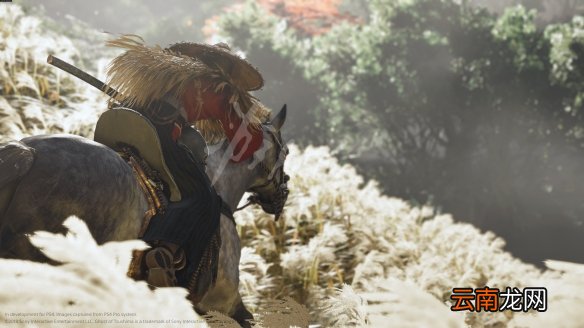 对马之魂比只狼强多了吗 对马岛之鬼和只狼对比分析