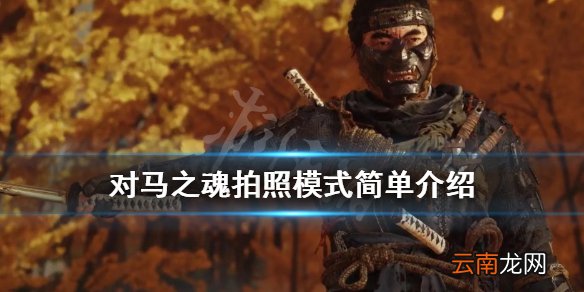 对马之魂拍照模式简单介绍 对马之魂拍照模式怎么样