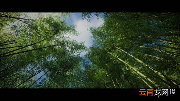 对马之魂故事背景是什么 对马之魂故事背景及官网地址介绍