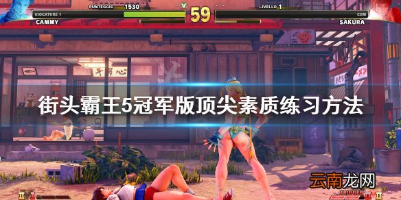 街头霸王5冠军版顶尖素质是什么 顶尖素质练习方法