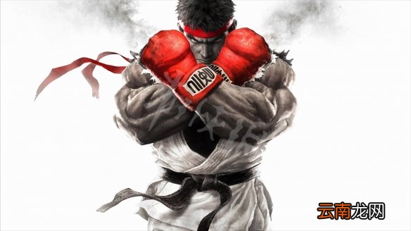 街头霸王5冠军版隆有什么改动 街霸5冠军版隆改动一览_网