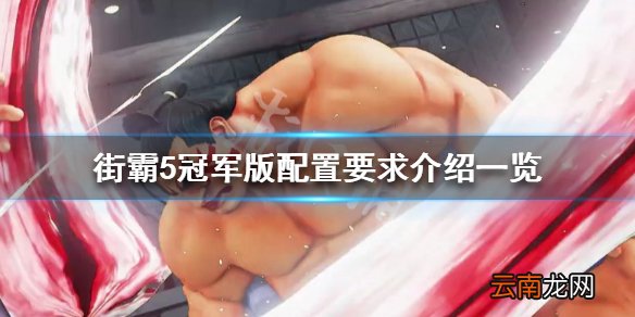街头霸王5冠军版配置要求高吗 街霸5冠军版配置要求介绍一览_网