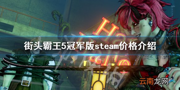 街头霸王5冠军版价格是多少 街头霸王5冠军版steam价格介绍_网