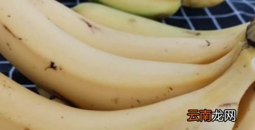 香蕉多了吃不完怎么加工才更好保存