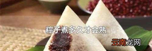 煮完粽子多久捞出