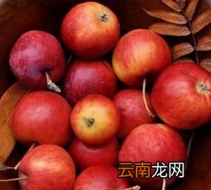 吃什么水果有利于减肥
