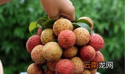 有哪些减肥期间少吃或不吃的水果呢