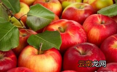 减肥主要原因