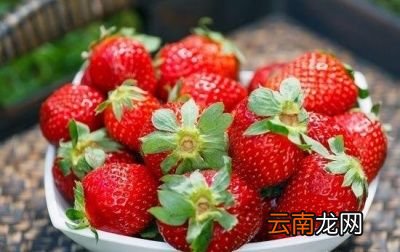 哪些水果适合减肥吃