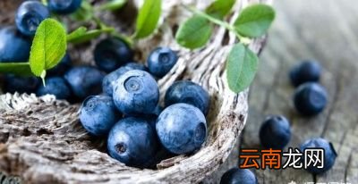 哪些水果适合减肥吃