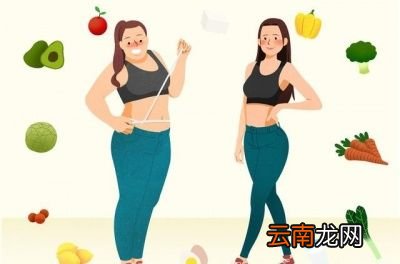 我们平时吃的最为大众的苹果适合于减肥来吃吗