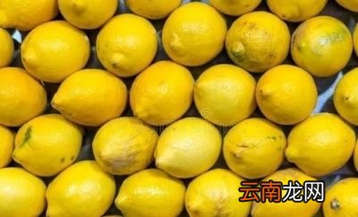 什么水果能快速减肥