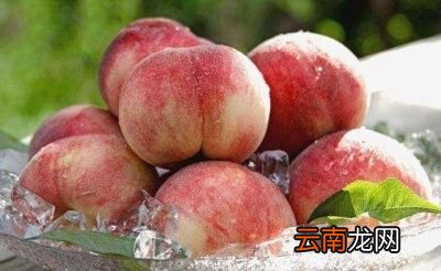 什么水果能快速减肥