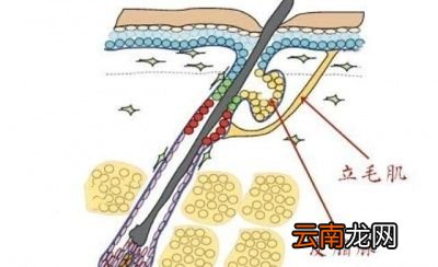 怎样改善因涂了防晒喷雾之后起的鸡皮疙瘩