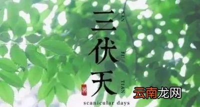三伏天从哪天开始算
