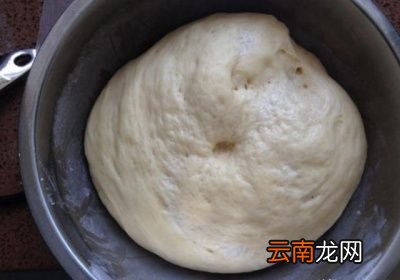 蒸馒头用冷水蒸还是等水开了蒸