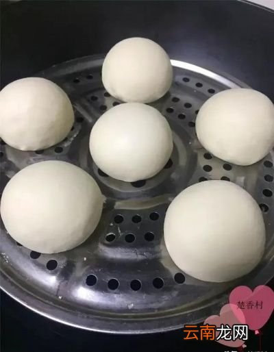 冷水放生胚生胚状态应该是怎样的