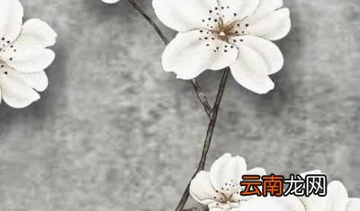 三伏天要注意什么