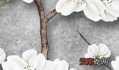三伏天要注意什么
