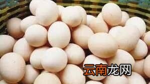 究竟是什么原因导致鸡蛋粘壳呢