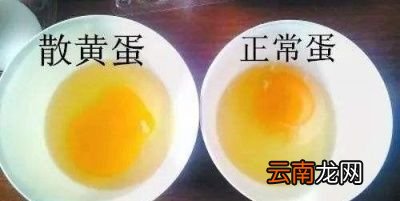 造成散黄蛋有两方面原因