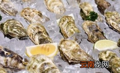 带壳的生蚝冷藏可以保存多久